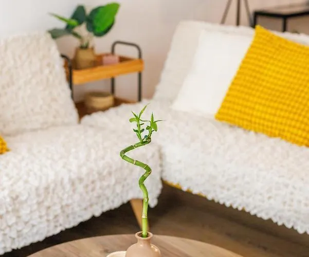 Boho *